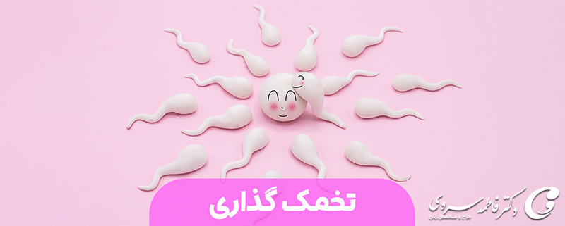 تخمک گذاری بعد از هیستروسکوپی