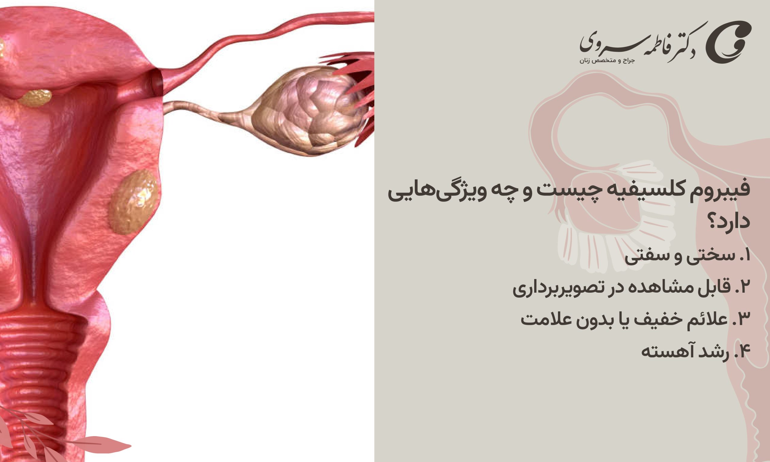 فیبروم کلسیفیه چیست و چه ویژگی‌هایی دارد؟