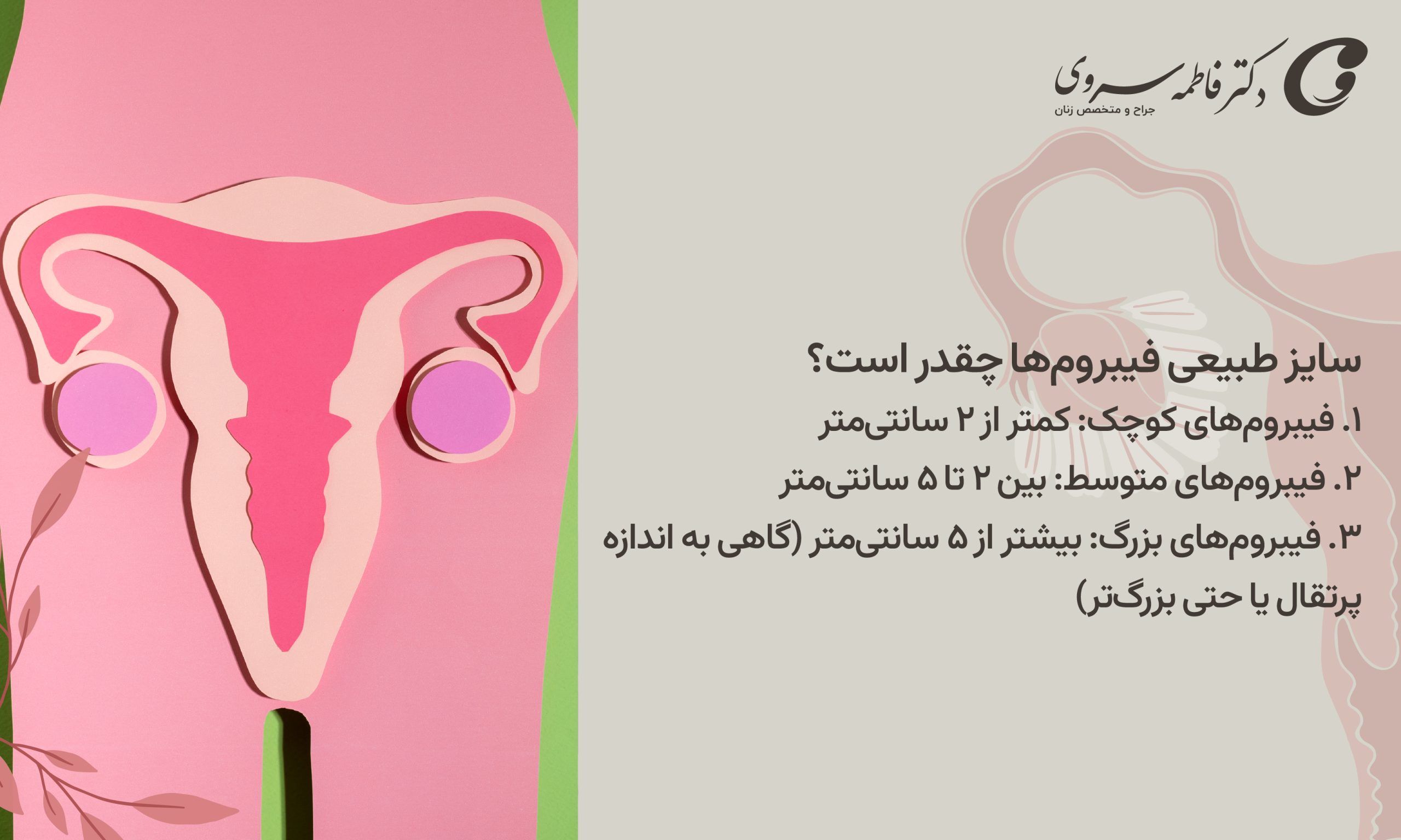 سایز طبیعی فیبروم‌ها چقدر است؟