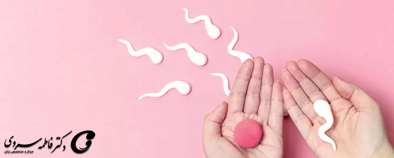 اختلالات تخمک‌گذاری و تاثیر آن بر باروری